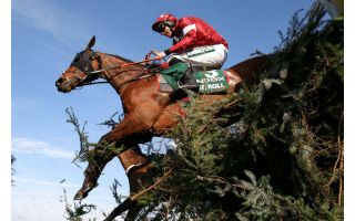 TINY GIANT'S AMAZING NHS AI/ALEXA GAN NATIONAL 2020