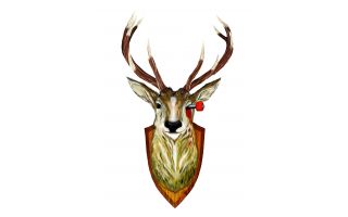 ONE IDEA skate and art event